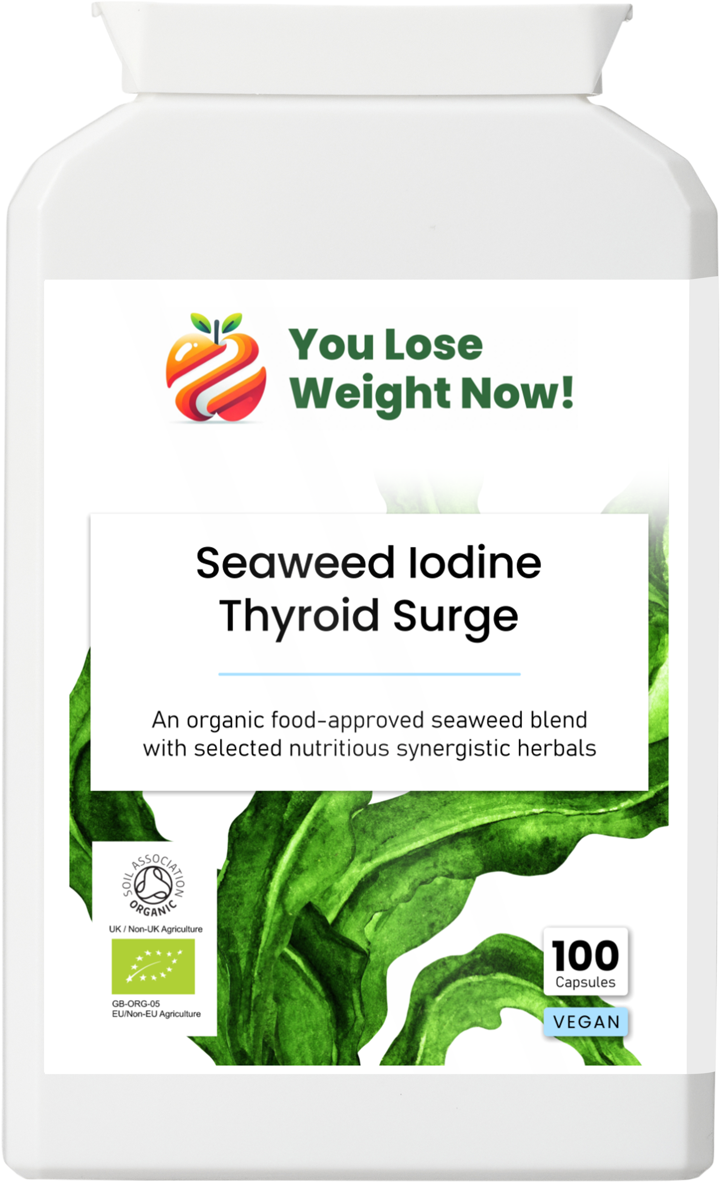 Front render of the YouLoseWeightNow! Seaweed Iodine Thyroid Surge flat postal pot showing the full product label, organic seaweed blend branding, and Soil Association Organic, Vegan, and Halal certification badges.