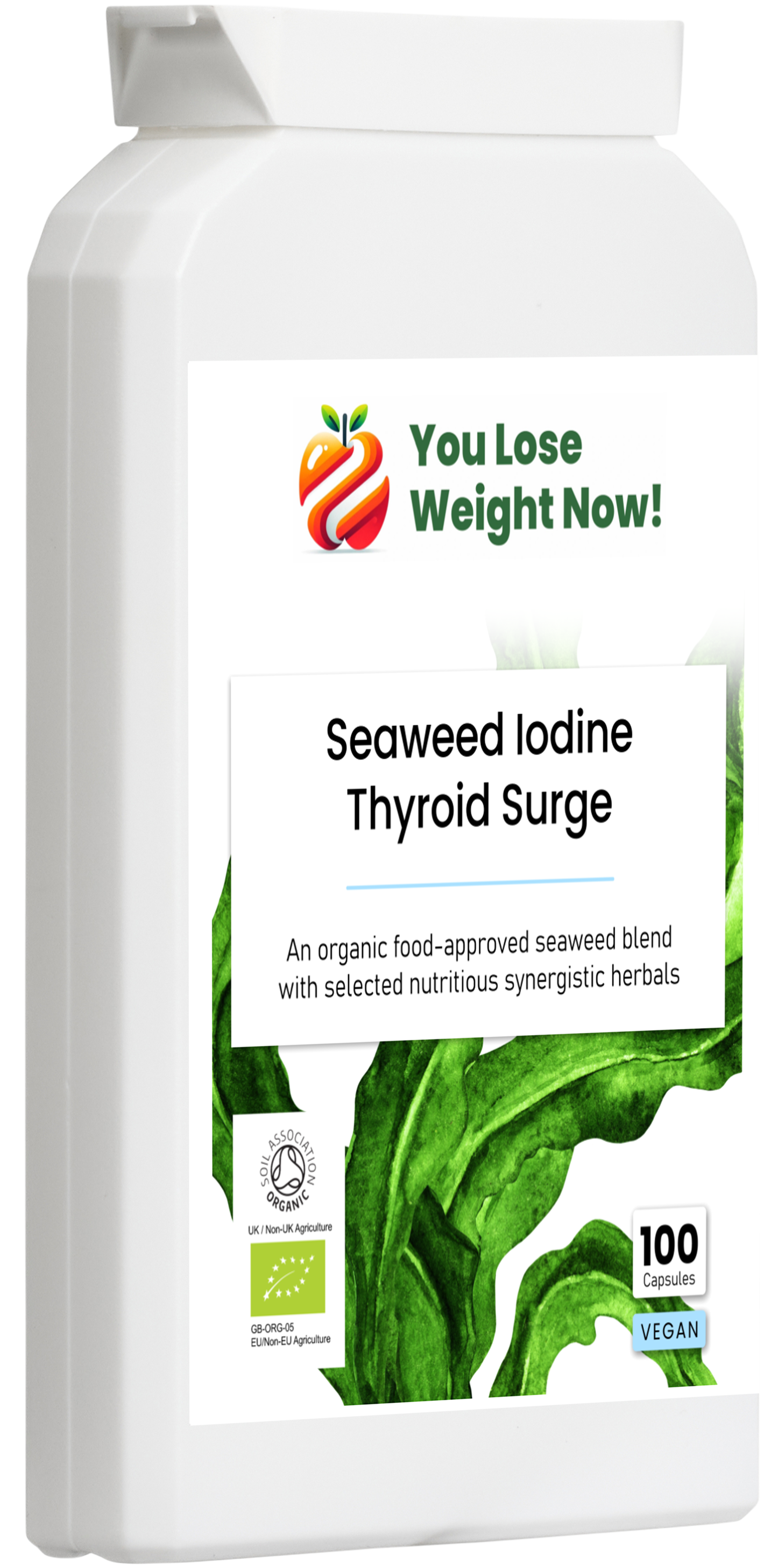 Right side angle render of the YouLoseWeightNow! Seaweed Iodine Thyroid Surge flat postal pot showing the opposite profile and label detail against a clean background.
