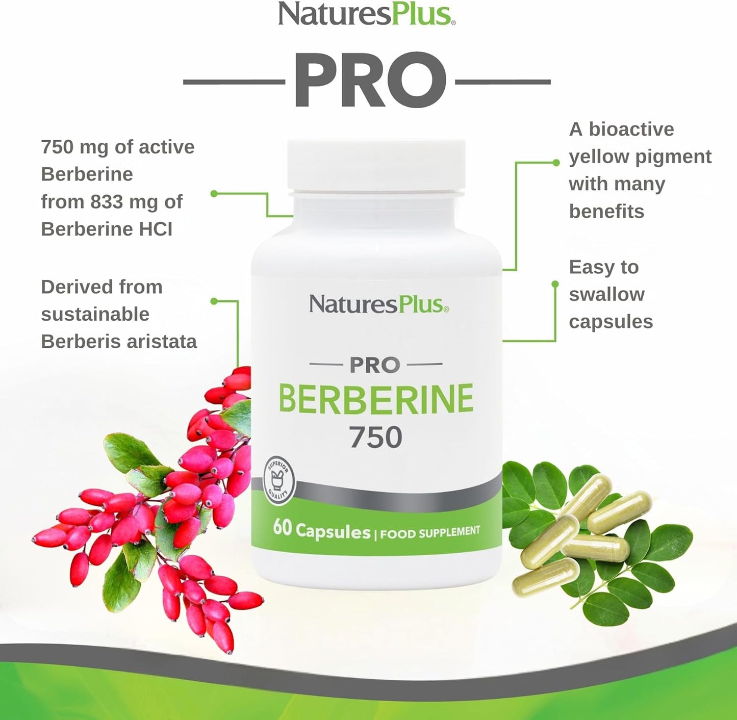 PRO Berberine Capsules 750 Mg - Purely Natural and Active Berberine from Sustainable Sources - Easy to Swallow, Gluten Free, Vegan, Non-Gmo - 60 Capsules