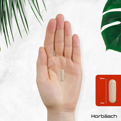 Psyllium Husk Capsules 1400Mg | Fibre Supplement | 365 Vegan Capsules (6-Month Supply) | High Strength Psyllium Husk Powder | Natural Prebiotic | by