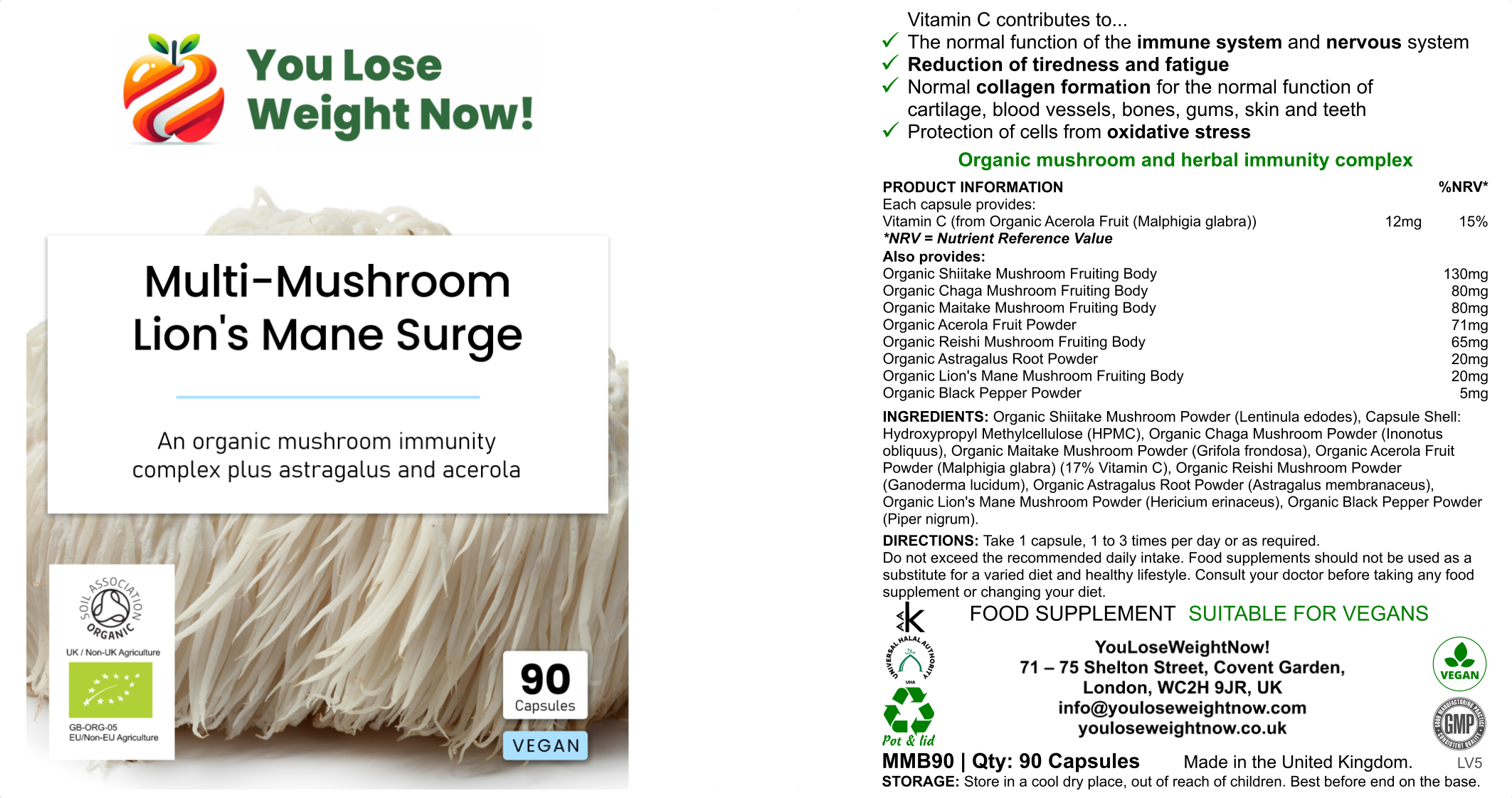 Multi-Mushroom Lion's Mane Surge by YouLoseWeightNow! — hero flat lay showing all three angles of the tiny flat supplement pot, short squat and wide like a small face cream pot, with the organic mushroom immunity complex label featuring Lion's Mane, Reishi, Shiitake, Maitake and Chaga, Soil Association Organic and Vegan certified, 90 vege capsules