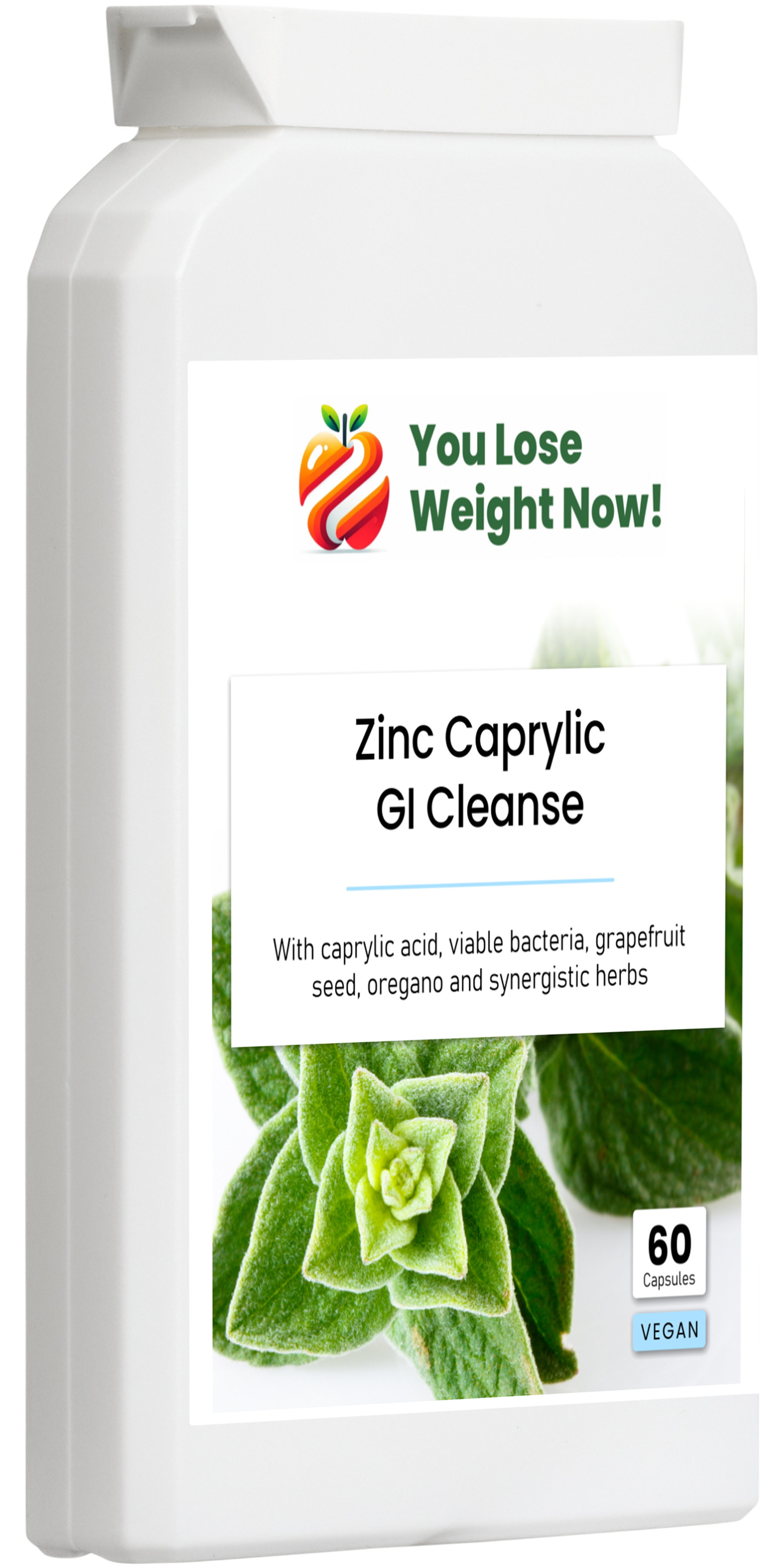 Zinc Caprylic GI Cleanse flat postal pot — right side angle render. Clean product render, no overlay.