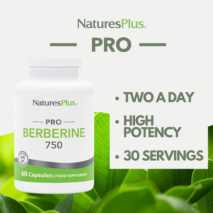 PRO Berberine Capsules 750 Mg - Purely Natural and Active Berberine from Sustainable Sources - Easy to Swallow, Gluten Free, Vegan, Non-Gmo - 60 Capsules